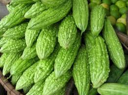 Bitter Gourd Manufacturer Supplier Wholesale Exporter Importer Buyer Trader Retailer in Mumbai  India